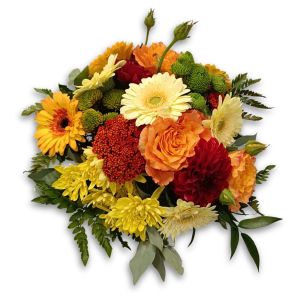 Ambre