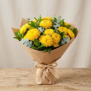 Chrysanthèmes Jaunes