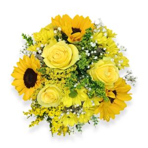 Mon soleil