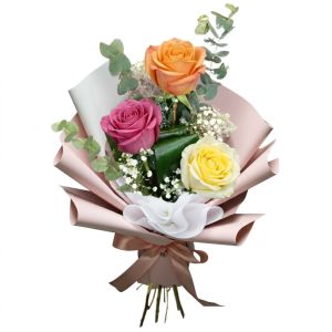 Roses multicolores