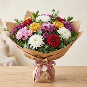 Chrysanthèmes Multicolores