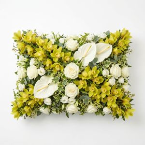 Coussin Bratislava
